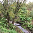 Тонну покрышек собрали при расчистке реки Козловки в селе Половодово.