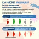 В Пермском крае число вакцинированных от COVID-19 жителей достигло миллиона 0