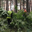 Чистая дубрава 0 Чистая дубрава 0