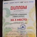 Сладкий праздник в Прикамье 6