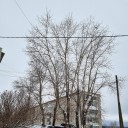 Видеть за делами людей 3