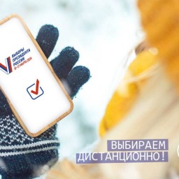 На выборах Президента России в Прикамье будет применяться дистанционное электронное голосование
