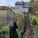 Не под светом луны 0 Не под светом луны 0