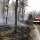 С начала пожароопасного сезона на территории Пермского края ликвидировано более 120 лесных пожаров