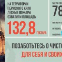 Лесопожарная обстановка на территории Пермского края