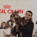 Выставка кошек "Город КИС" 27