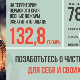 Лесопожарная обстановка на территории Пермского края