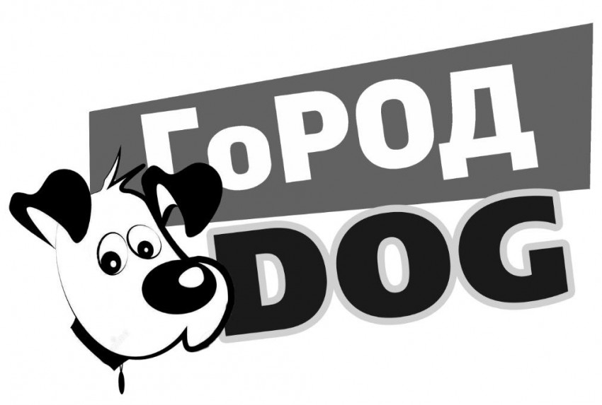 Выставка собак "Город ДОГ" и дресс-шоу "Лучший напарник"